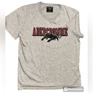 Abercrombie & Fitch panther / puma / cougar  t-shirt / grey / men’s small
